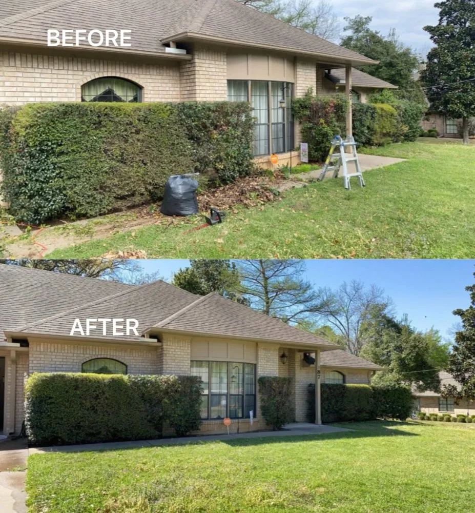 Professional landscape design for beautiful yards across Big Sandy, TX - GWS Lawn Care Services