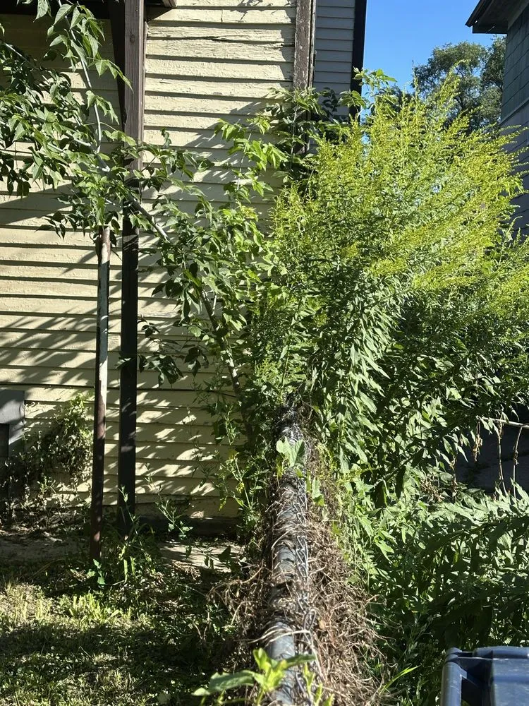 Reliable landscape design in Milwaukee, WI by GXA Landscaping and Snow Removal