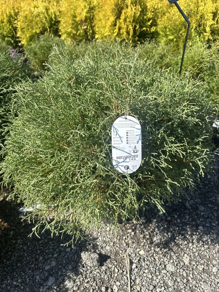 Professional yard maintenance near you across Milwaukee, WI - GXA Landscaping and Snow Removal