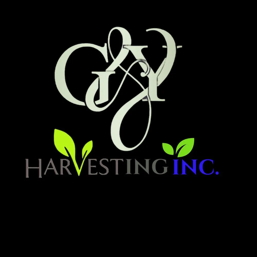 Trusted yard maintenance in Selma, CA by G&Y Harvesting