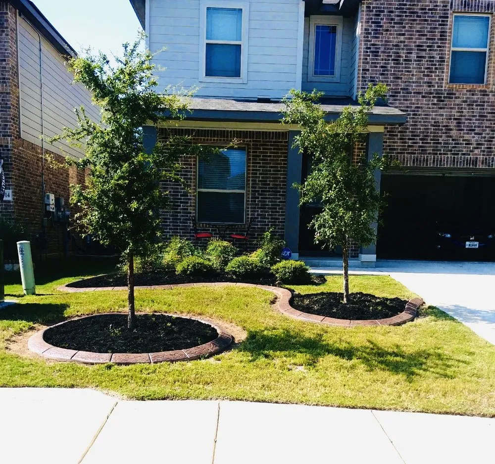 Top-rated landscaping services experts serving San Antonio, TX - Gypsy Curb Appeal