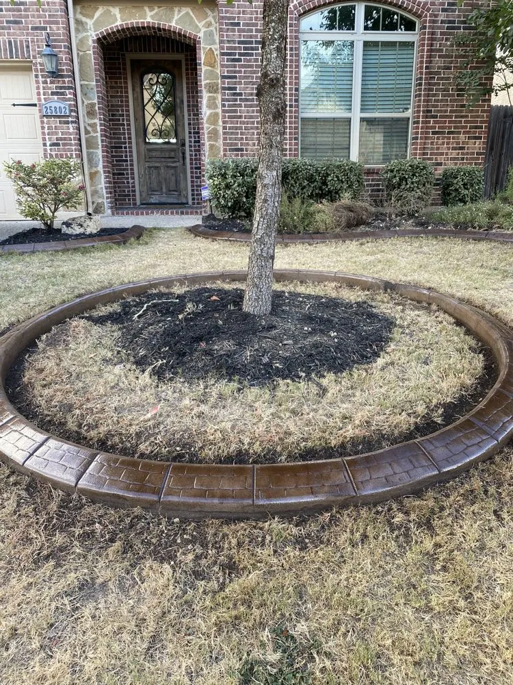 Reliable landscape installation in San Antonio, TX by Gypsy Curb Appeal
