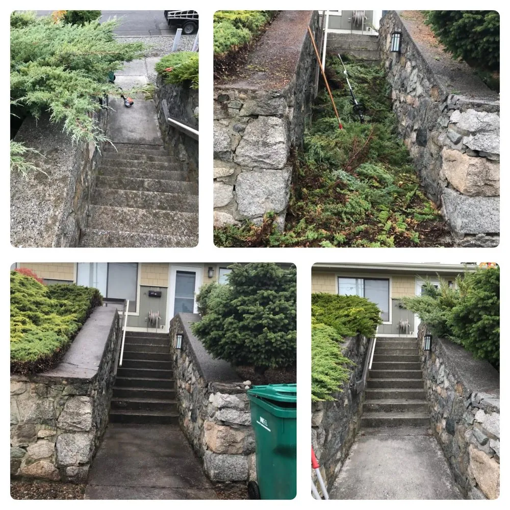 Top-rated yard maintenance in Burlington, WA - GZ Lawn Maintenance