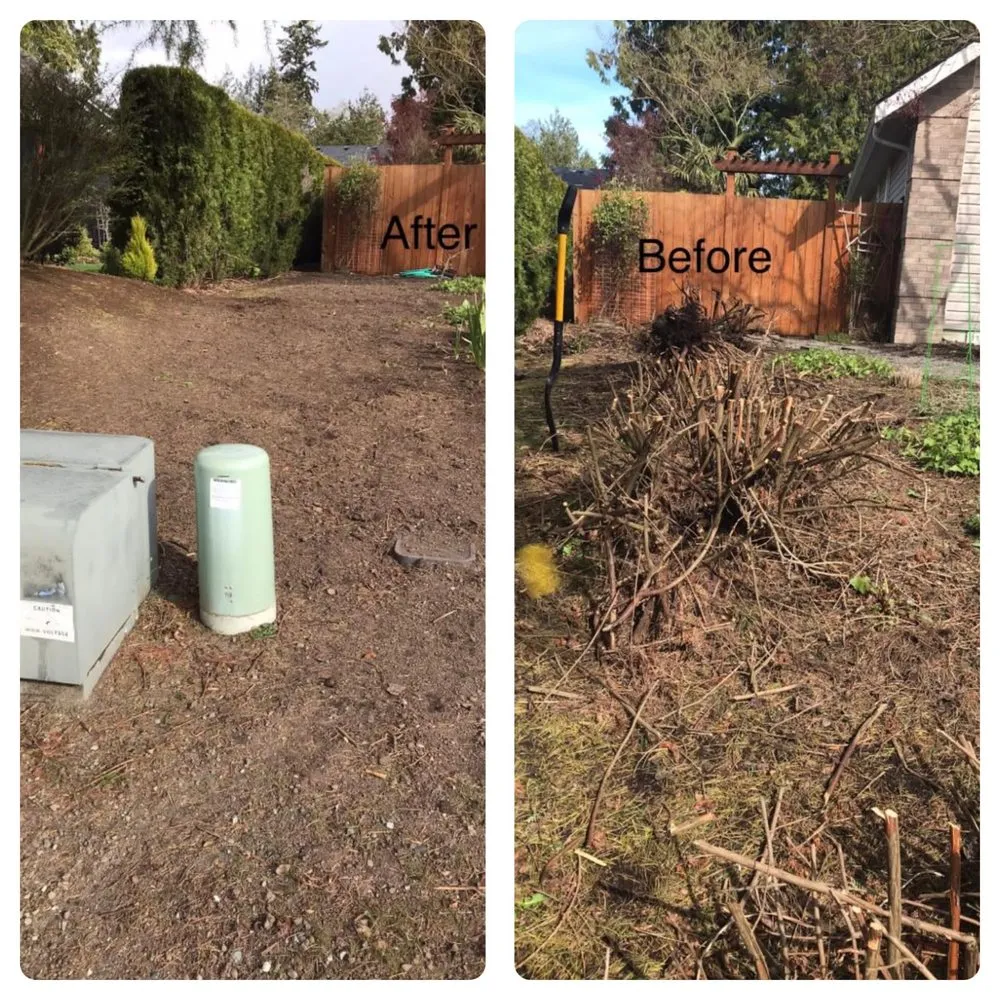 Custom landscape design near you across Burlington, WA - GZ Lawn Maintenance