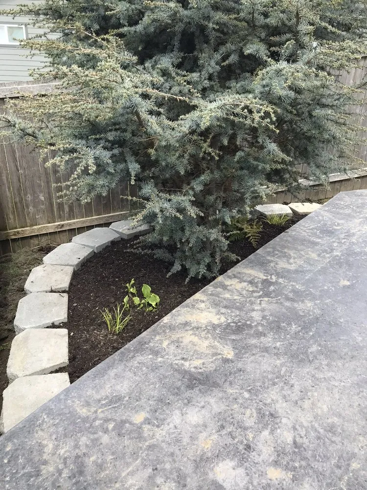 Expert yard maintenance experts serving Burlington, WA - GZ Lawn Maintenance