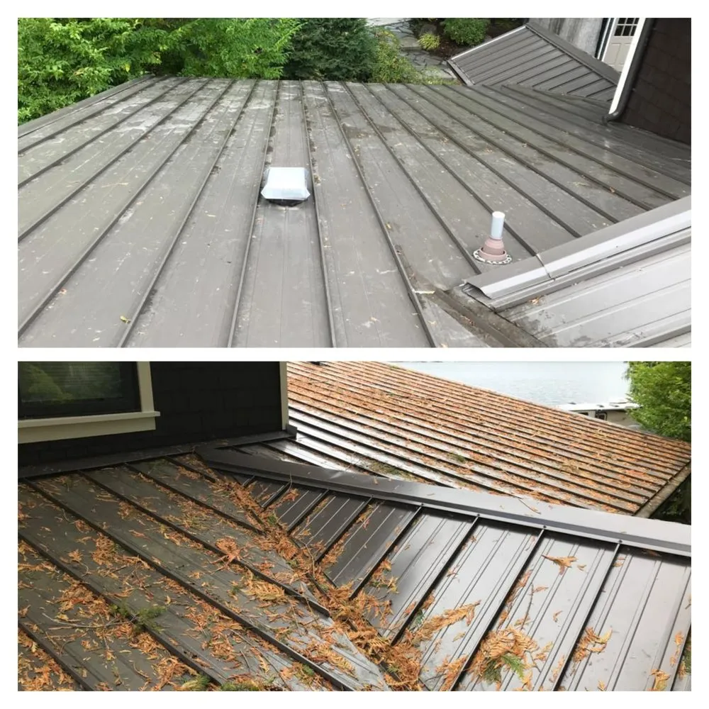 Trusted lawn mowing service with custom design across Burlington, WA - GZ Lawn Maintenance