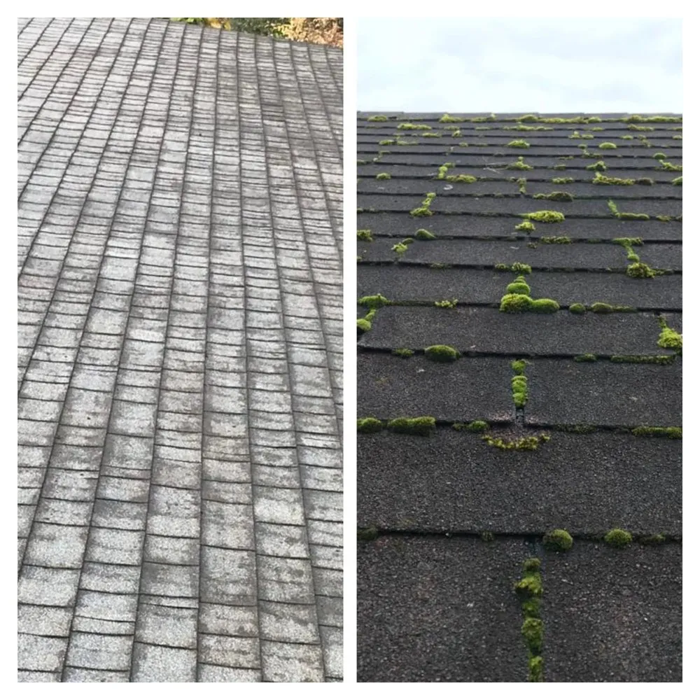 Local landscape installation in Burlington, WA by GZ Lawn Maintenance