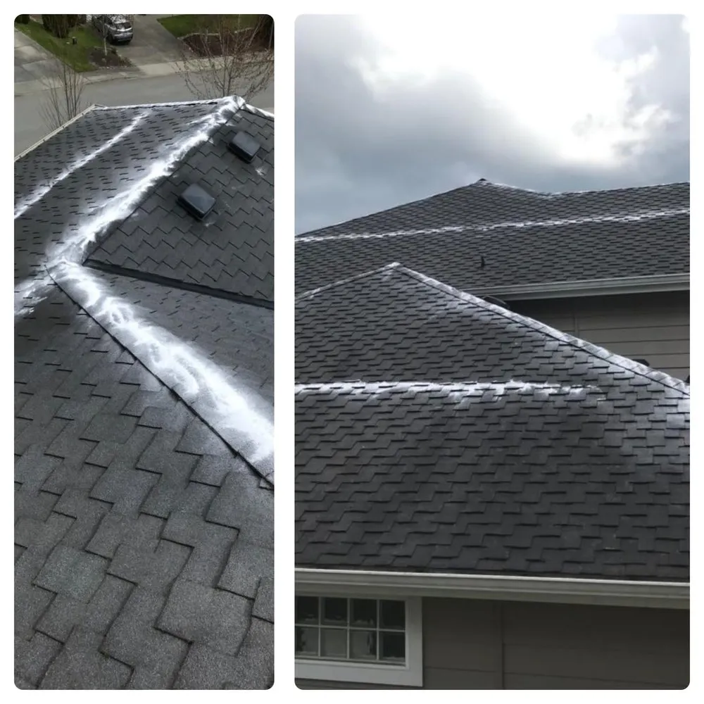 Reliable garden landscaping in Burlington, WA by GZ Lawn Maintenance