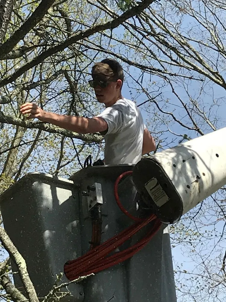 Professional landscape installation for year-round maintenance across North Branford, CT - Gz Tree & Lawn Care