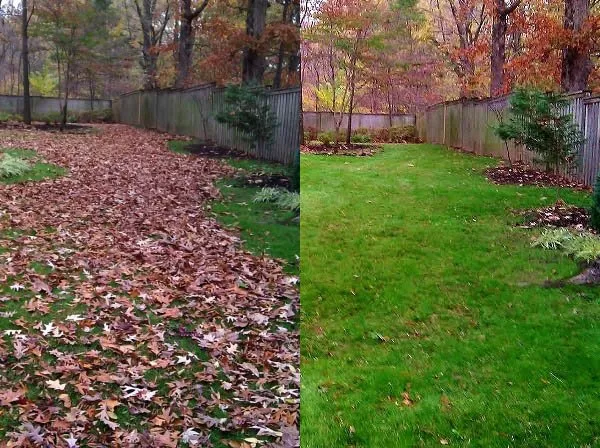 Reliable outdoor landscaping near you in Oklahoma City, OK by GZN Lawn Care