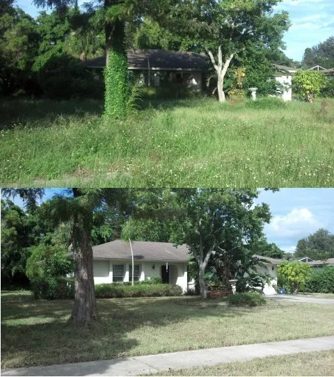 Top-rated landscaping services for year-round maintenance in Oklahoma City, OK by GZN Lawn Care