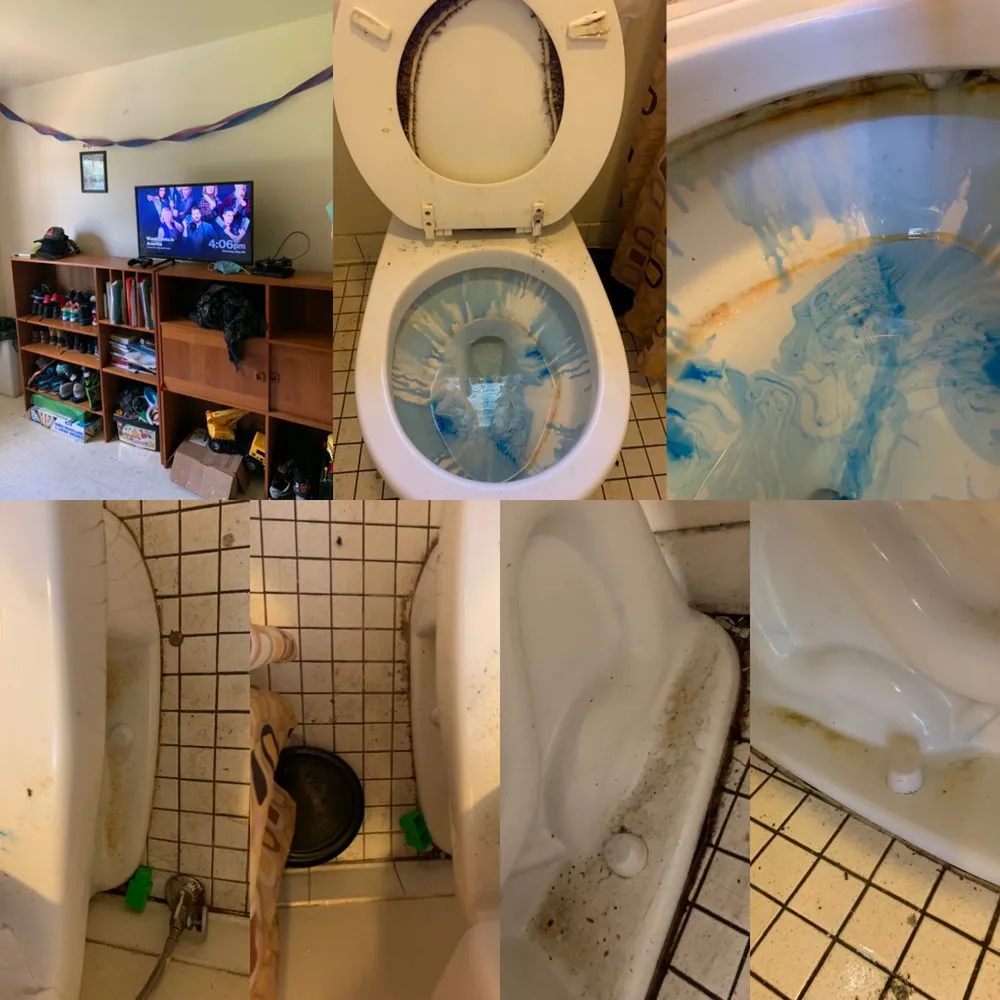 Affordable lawn care service for beautiful yards in Newark, NJ by H & A Causey Cleaning Services