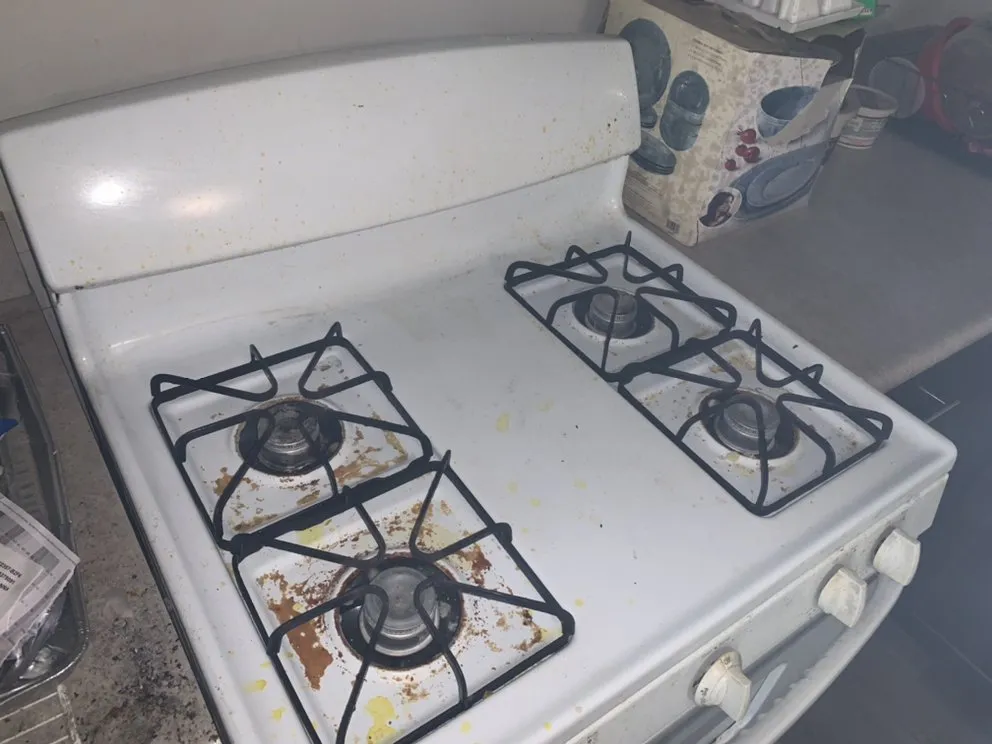 Professional yard maintenance experts serving Newark, NJ - H & A Causey Cleaning Services