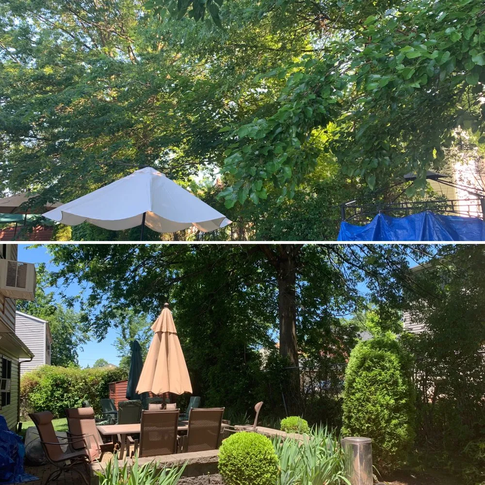 Affordable yard maintenance in Newark, NJ - H & A Causey Cleaning Services