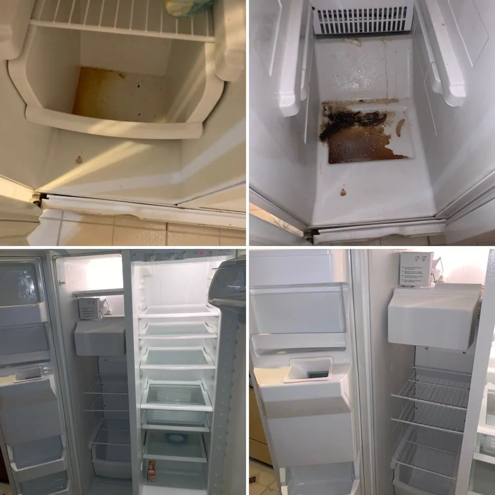 Reliable landscape installation experts serving Newark, NJ - H & A Causey Cleaning Services