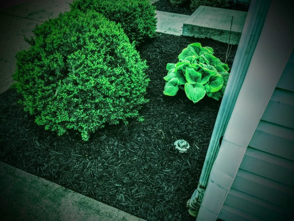 Trusted lawn care service in Centerville, OH - H & A Helping Around Services