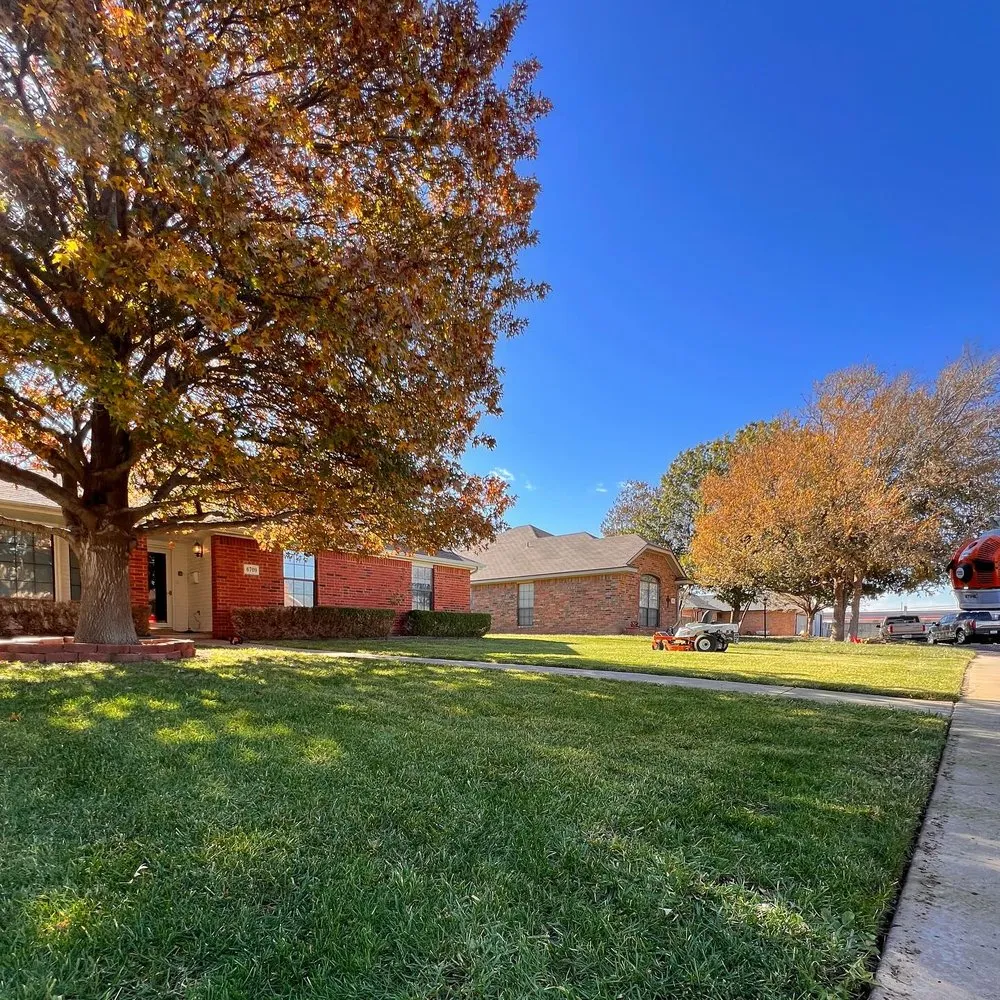 Expert yard cleanup service in Amarillo, TX - H & A Lawn Mowing Services Amarillo