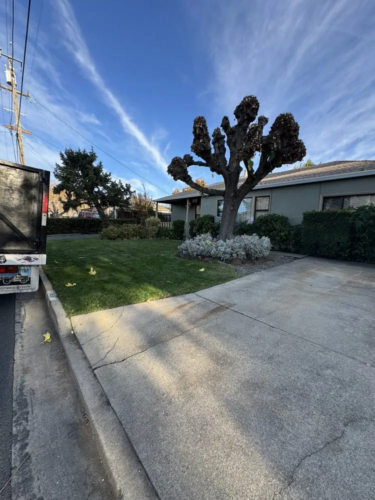 Top-rated lawn mowing service in Pittsburg, CA - H & E Lawn And Landscaping