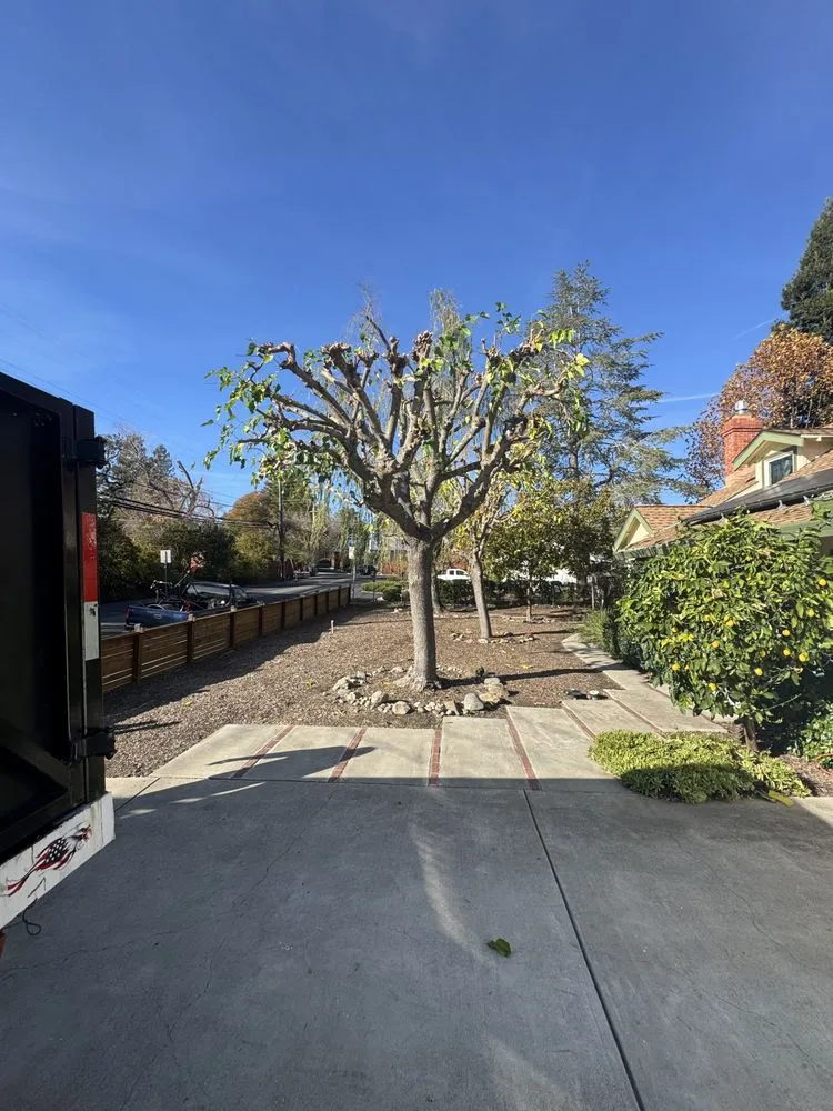 Reliable lawn care service in Pittsburg, CA by H & E Lawn And Landscaping