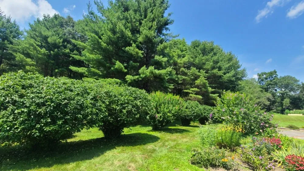 Trusted landscaping services in Webster, MA - H & H Landscaping Services