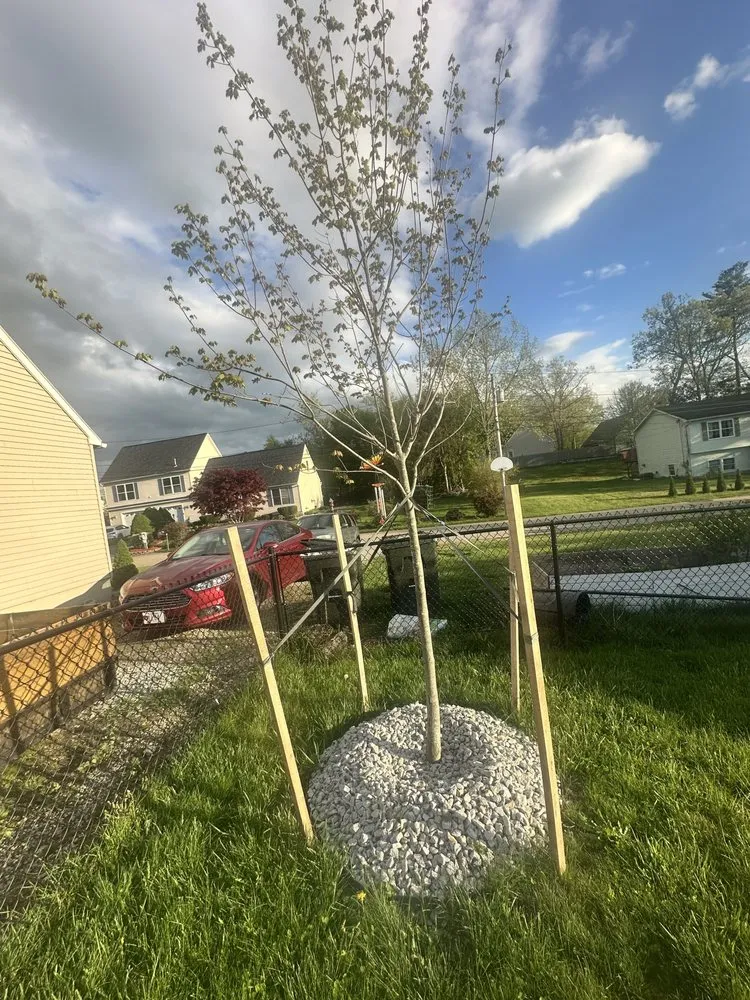 Local lawn mowing service in Webster, MA by H & H Landscaping Services