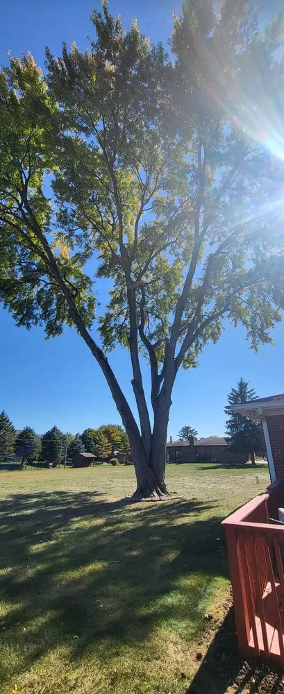 Professional lawn mowing service in Indianapolis, IN by H & J Lawn Care Service