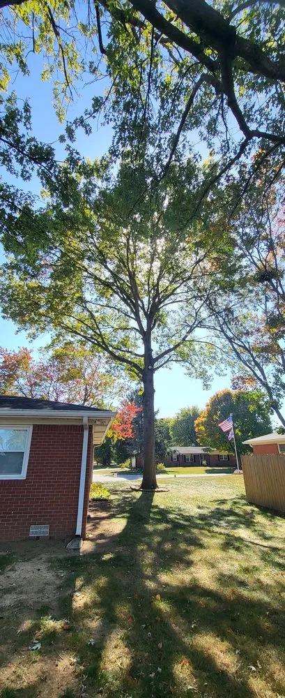 Reliable outdoor landscaping in Indianapolis, IN by H & J Lawn Care Service