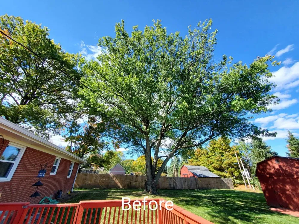 Expert landscape design in Indianapolis, IN - H & J Lawn Care Service