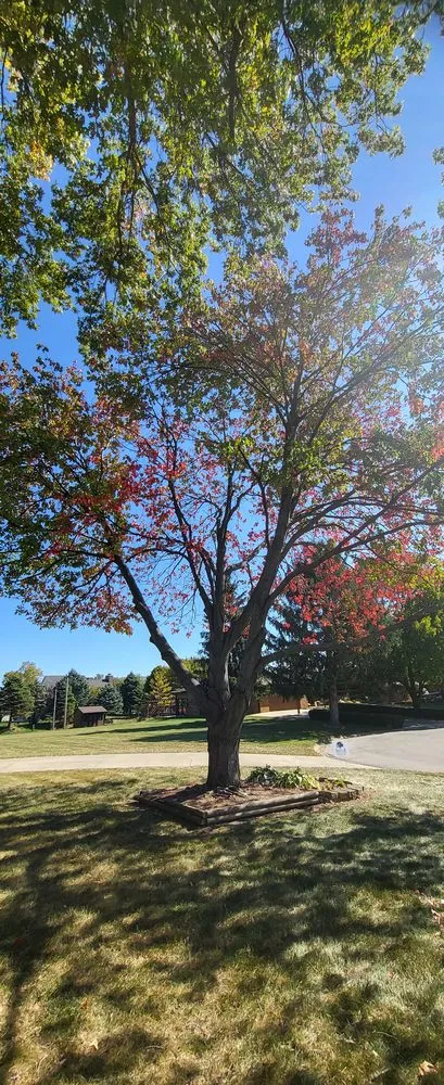 Custom landscaping services in Indianapolis, IN by H & J Lawn Care Service