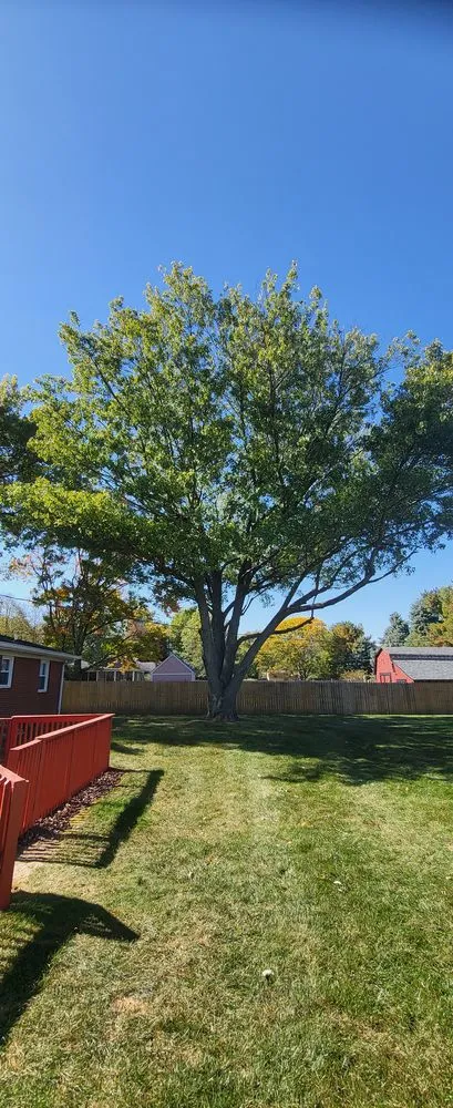 Reliable yard maintenance for beautiful yards in Indianapolis, IN by H & J Lawn Care Service