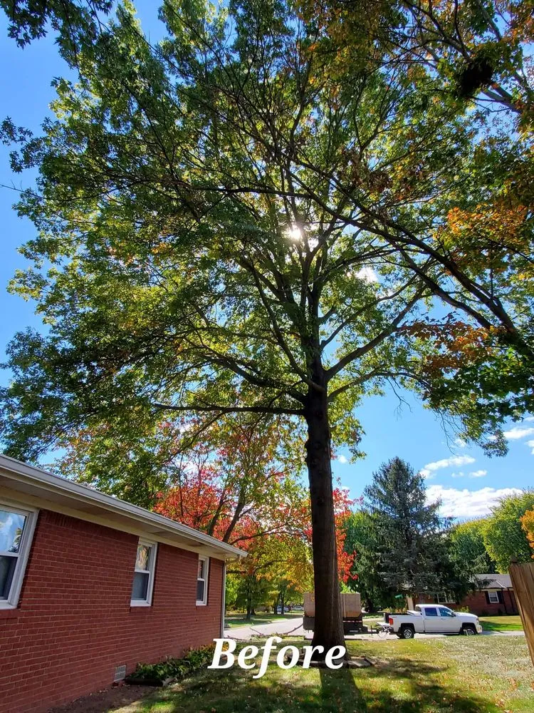 Trusted yard maintenance in Indianapolis, IN by H & J Lawn Care Service