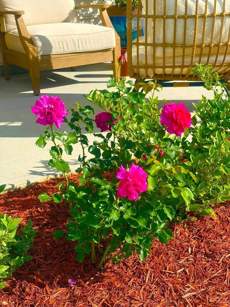 Expert garden landscaping in Huger, SC by H & K Landscaping