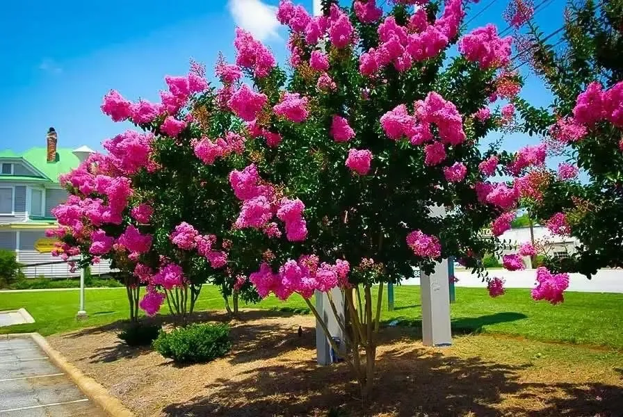 Trusted landscape installation experts serving Huger, SC - H & K Landscaping