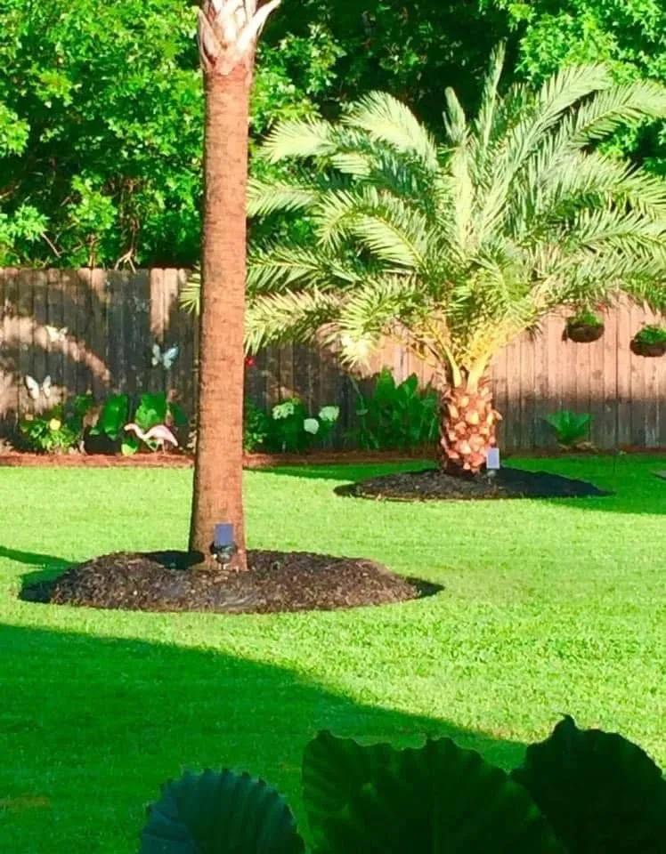 Local outdoor landscaping experts serving Huger, SC - H & K Landscaping