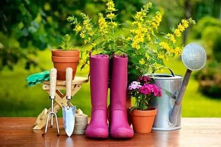 Affordable outdoor landscaping experts serving Huger, SC - H & K Landscaping