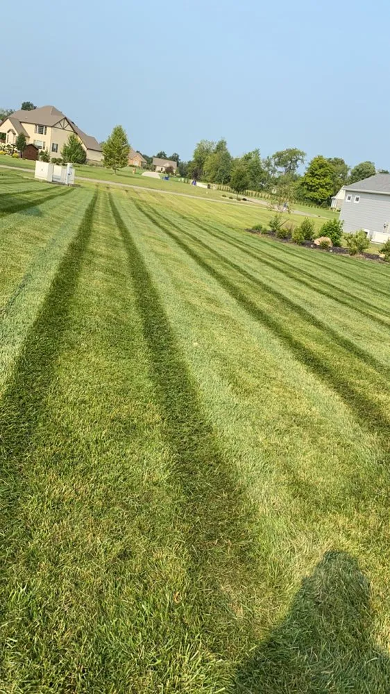 Local yard cleanup service near you across Ray, OH - H & L Lawn Care