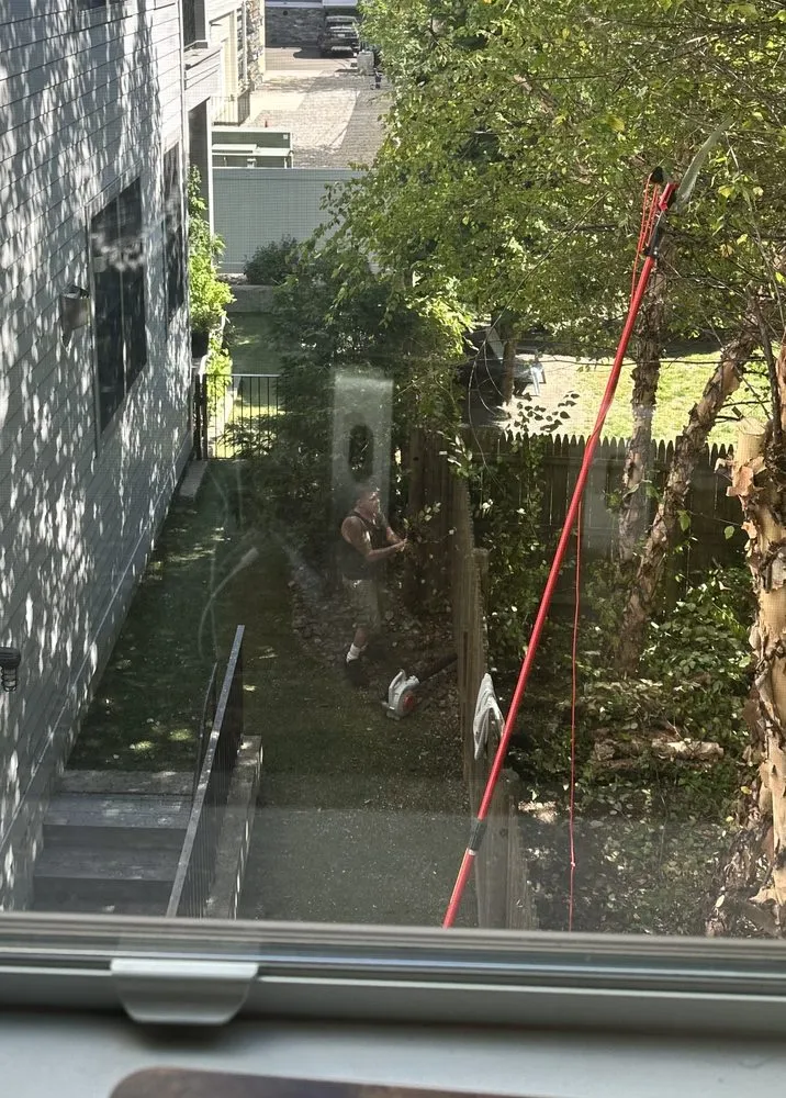 Reliable yard maintenance for homes in Weymouth, MA by H & L Tree Removal