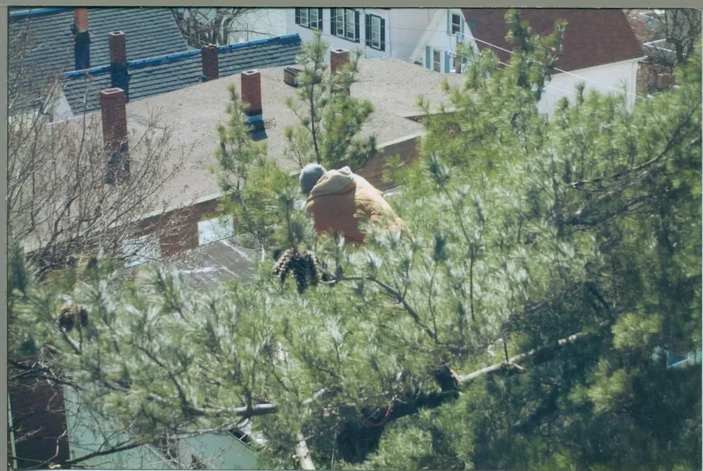 Affordable garden landscaping in Weymouth, MA by H & L Tree Removal