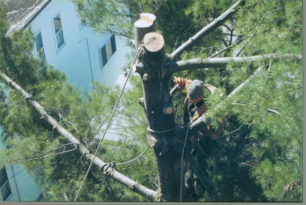 Reliable outdoor landscaping experts serving Weymouth, MA - H & L Tree Removal