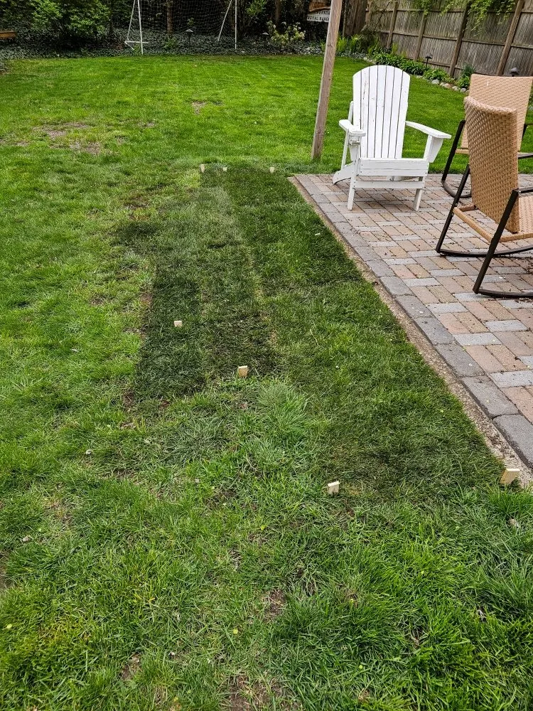 Custom yard cleanup service for year-round maintenance in Ortonville, MI by H & M Construction Solutions