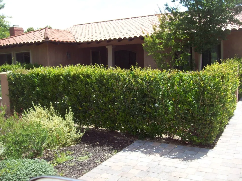 Reliable landscape design with custom design across Duarte, CA - H & M Landscape & Irrigation Design