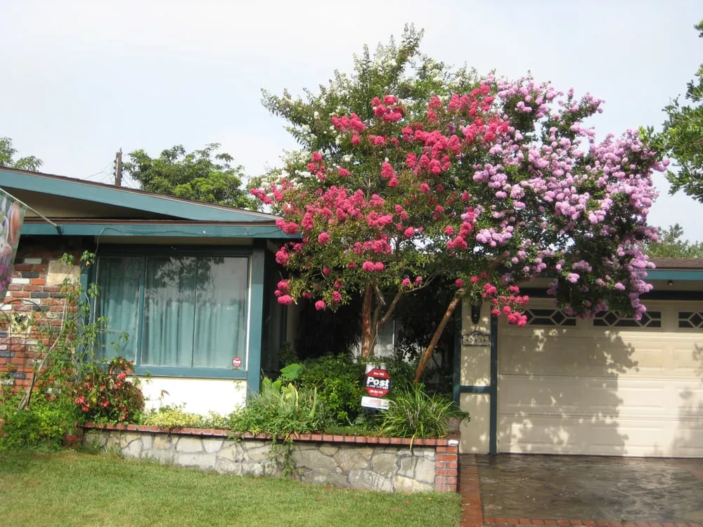 Local lawn mowing service in Duarte, CA - H & M Landscape & Irrigation Design