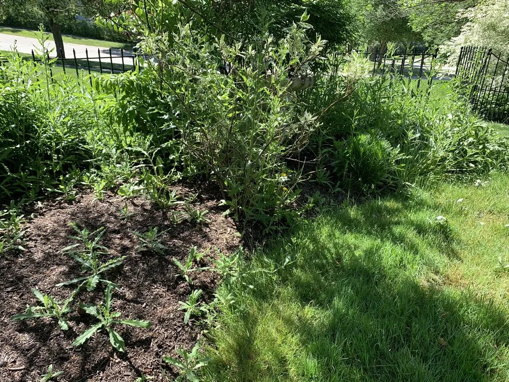 Custom landscape design with custom design across Newbury, OH - H & M Landscaping