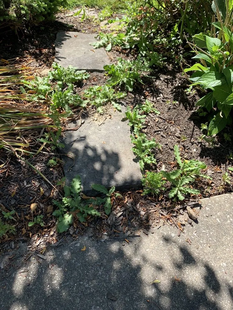 Custom lawn mowing service in Newbury, OH - H & M Landscaping