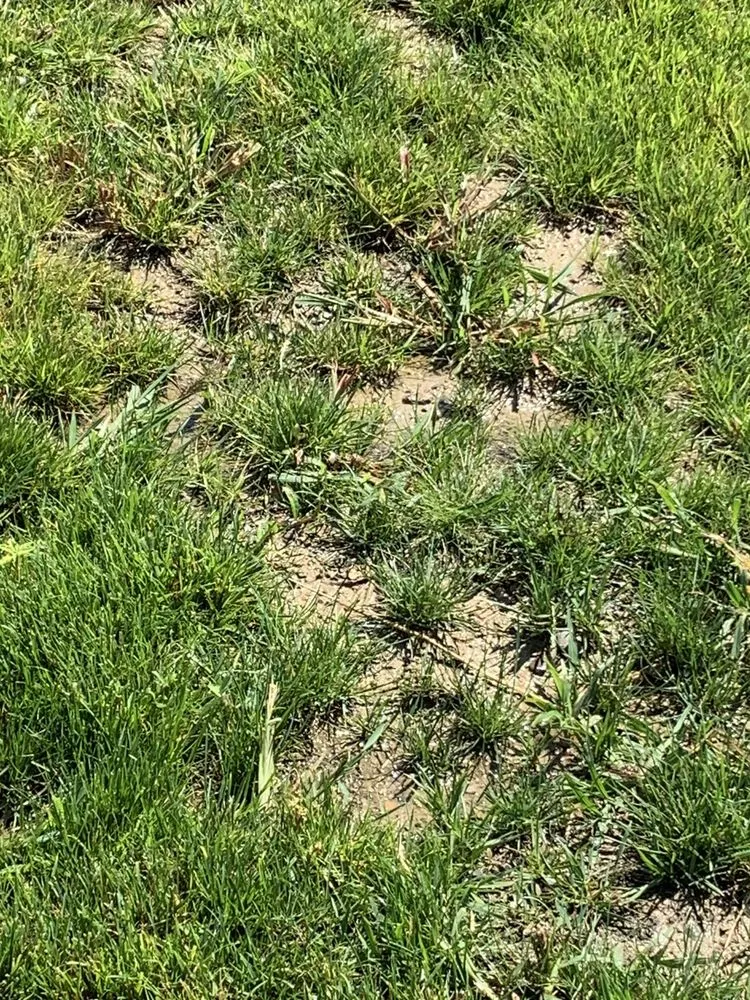 Expert landscape design in Swartz Creek, MI by H & M Landscaping