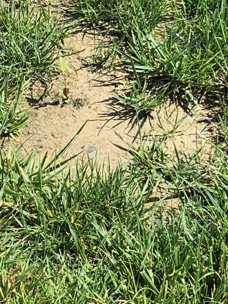 Custom yard maintenance in Swartz Creek, MI - H & M Landscaping