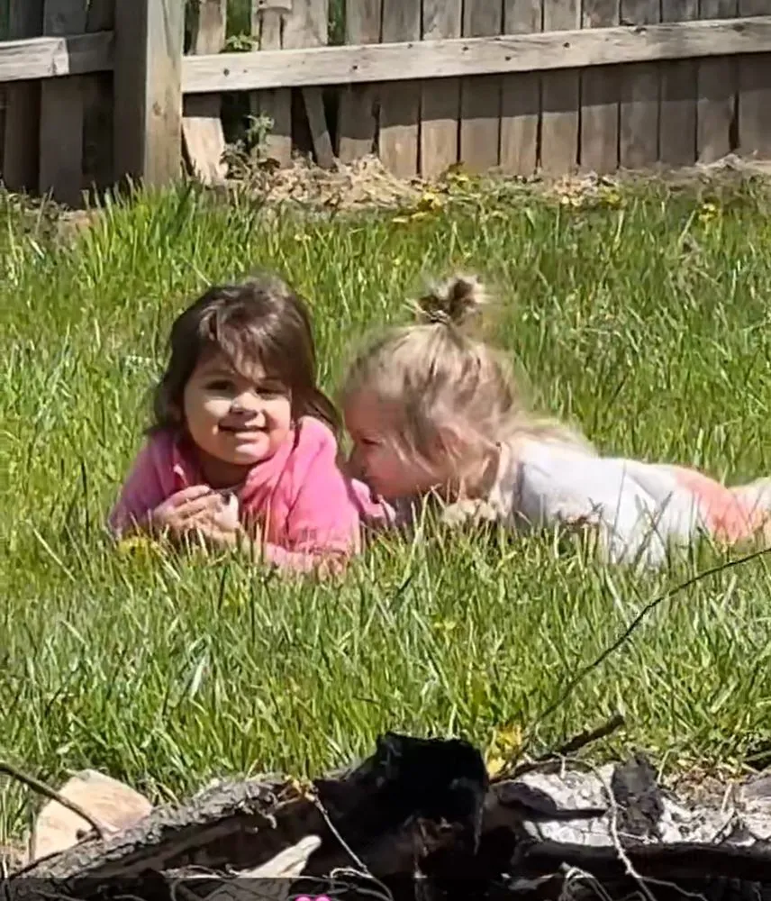 Affordable yard cleanup service in Clinton Township, MI - H & M Lawn Care