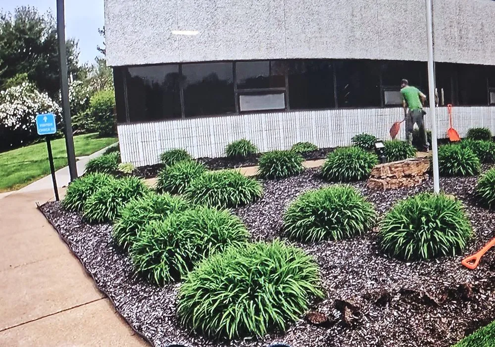 Local yard cleanup service in Clinton Township, MI - H & M Lawn Care