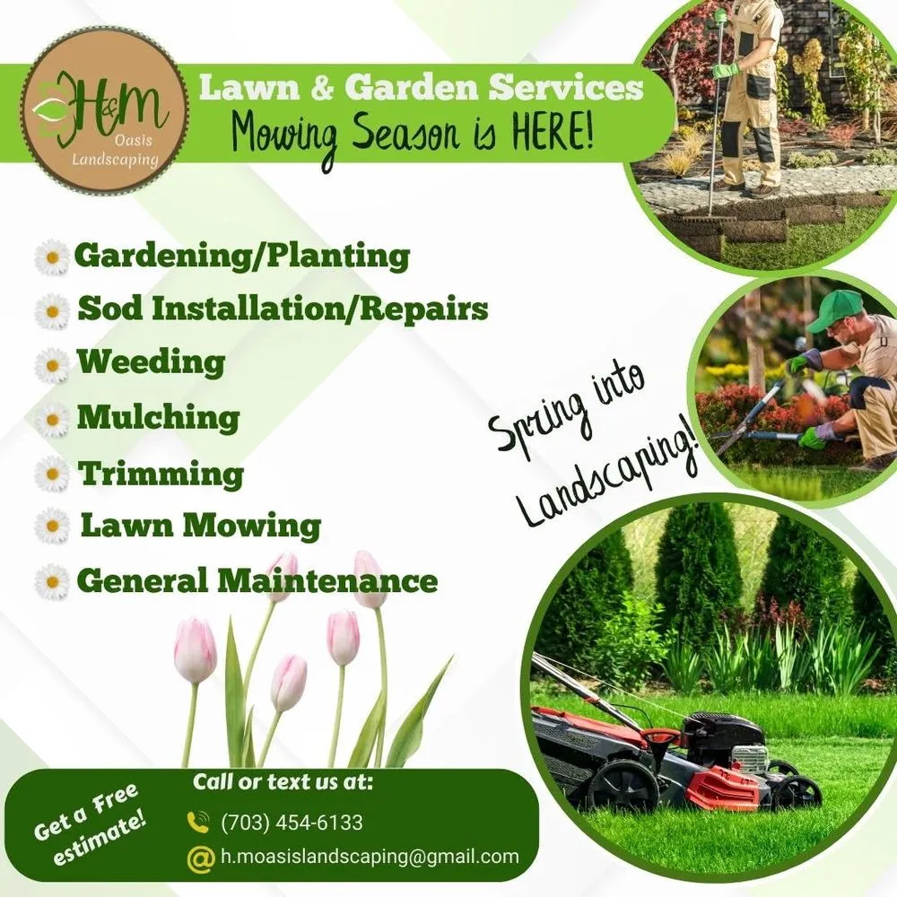 Local landscape installation in Arlington, VA by H & M Oasis Landscaping