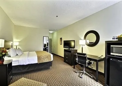 Trusted outdoor landscaping for outdoor upgrades in New Concord, OH by H & M Quality Tree Service LLC